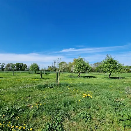 Gutshaus Michelshof - Viel Platz In Der