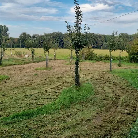 Gutshaus Michelshof - Viel Platz In Der *