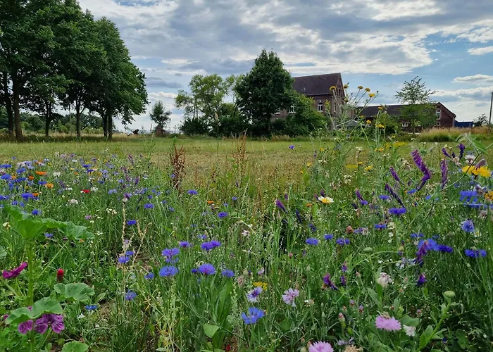 Gutshaus Michelshof - Viel Platz In Der Nyaraló